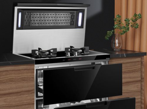 集成灶行業處于穩定增長趨勢 未來將進一步走進用戶家庭