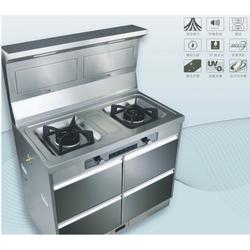 集成環(huán)保灶批發(fā) 集成環(huán)保灶供應(yīng) 集成環(huán)保灶廠家 