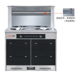 集成灶十大品牌 集成灶 萊田電器