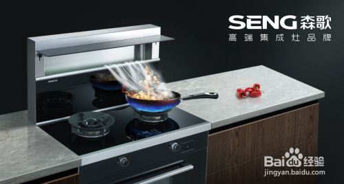 帥豐集成灶怎么樣 排名前十的集成灶哪個好
