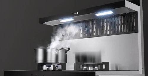 集成灶大講堂 蒸烤一體集成灶怎么選 讓大師級的火星人告訴你